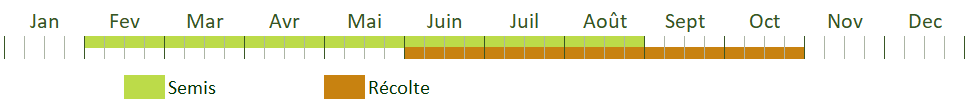 Calendrier de culture